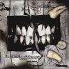 封面 In Strict Confidence - Become An Angel (Broken Wings Mix) In Strict Confidence - Become An Angel (Broken Wings Mix)