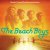 Cover The Beach Boys - Cotton Fields