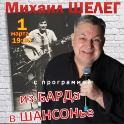 Обкладинка Михаил Шелег - Упала звезда