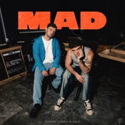 Cover Martin Garrix & Lauv - MAD (Dj Vianu Remix)