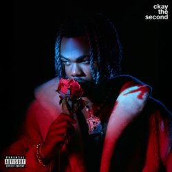 Cover CKay - permit me