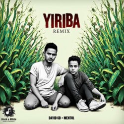 Обкладинка David 6D & Mentol - Yiriba (Remix)