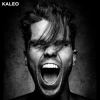 封面 Kaleo - I Want More Kaleo - I Want More