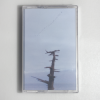Cover Buttechno - 808 ambient pieces Buttechno - 808 ambient pieces