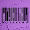 封面 alyona alyona, KALUSH, OTOY, Білий Бо, Шершень - Стержень alyona alyona, KALUSH, OTOY, Білий Бо, Шершень - Стержень