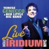 封面 Terese Genecco & Her Little Big Band - What Is This Thing Called Love Terese Genecco & Her Little Big Band - What Is This Thing Called Love