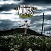 封面 Original Sin feat. Fexie Muiso - Your Love Original Sin feat. Fexie Muiso - Your Love