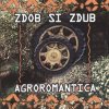 封面 Zdob și Zdub - Sirba de la Chisinau Zdob și Zdub - Sirba de la Chisinau