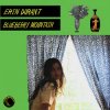 封面 Erin Durant - Blueberry Mountain Erin Durant - Blueberry Mountain