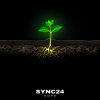 封面 SYNC24 - The Frog and the Bubble SYNC24 - The Frog and the Bubble