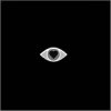 封面 Belladonna - Alchemical Romance Belladonna - Alchemical Romance
