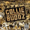 Collie Buddz - Blind To You (Haters)