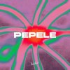 封面 AFRONOM & Lucas Estrada & Idd Aziz - Pepele AFRONOM & Lucas Estrada & Idd Aziz - Pepele