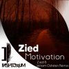 Zied - Everything Will Come Back