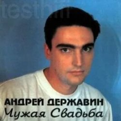 Обкладинка Андрей Державин - Чужая свадьба