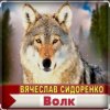 封面 Вячеслав Сидоренко - Волк Вячеслав Сидоренко - Волк