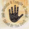 封面 Jah Wobble & Temple Of Sound - Hayati Jah Wobble & Temple Of Sound - Hayati