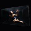 封面 Emei - Scatterbrain Emei - Scatterbrain