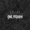 封面 Owl Vision - Zyborg Owl Vision - Zyborg