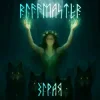 封面 Riffmaster - Зграя (Acoustic) Riffmaster - Зграя (Acoustic)