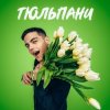 封面 VOLKANOV - ТЮЛЬПАНИ VOLKANOV - ТЮЛЬПАНИ