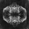 封面 Owl Vision - Draug Owl Vision - Draug