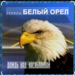 Обкладинка Белый Орел - Дождь над Касабланкой