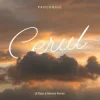 封面 Proconsul - Cerul (Dj Razz & Mentol Remix) Proconsul - Cerul (Dj Razz & Mentol Remix)