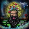 封面 Psydewise - Genetic Reflection Psydewise - Genetic Reflection