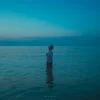 封面 ABIS - Blue ABIS - Blue