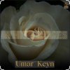 封面 Umar Keyn - White Roses Umar Keyn - White Roses
