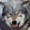 封面 Ваня Barsik - Дивіться суки обережно Ваня Barsik - Дивіться суки обережно
