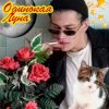 封面 ЮГ 404 - Одинокая луна ЮГ 404 - Одинокая луна