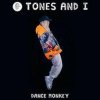 Обкладинка Tones & I feat. Dj Noiz - Dance Monkey Tones & I feat. Dj Noiz - Dance Monkey