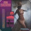 Обкладинка Mr Salama - Fall in love Mr Salama - Fall in love