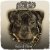 Cover Dogg Master - The Way You Dance My Funk