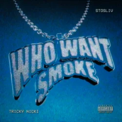 Cover Tricky Nicki & STOSLIV - Who Want Smoke?