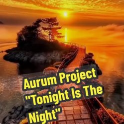 Обкладинка Aurum Project - Tonight Is The Night