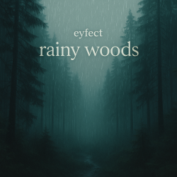 Обкладинка eyfect - rainy woods