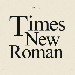 Обкладинка Times New Roman