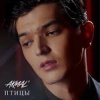 封面 Akmal' - Птицы Akmal' - Птицы