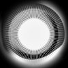 封面 Disclosure - Moonlight Disclosure - Moonlight