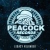 封面 Dr. Peacock & Hyrule War - Imagination (Original Mix) Dr. Peacock & Hyrule War - Imagination (Original Mix)