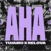封面 Tujamo & Relova - Aha Tujamo & Relova - Aha