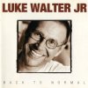 Luke Walter Jr - As The Crow Flies