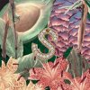 封面 Sza - Aftermath Sza - Aftermath