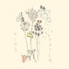 封面 Holly Henry - Citrus Holly Henry - Citrus