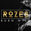 Rozes - Desirable