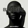 Cover SHADU - Boom Boom SHADU - Boom Boom