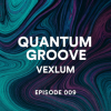 封面 Vexlum - Quantum Groove 009 Vexlum - Quantum Groove 009